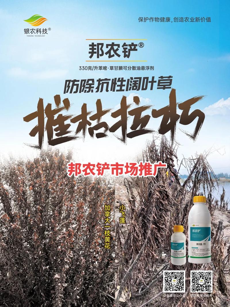 早春小飞蓬难搞#邦农铲来帮忙